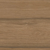 Selva керамогранит коричневый SG517700R 20х119,5
