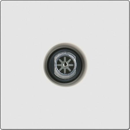 ТВ розетка оконечная (белая) W1183001 WERKEL 42334