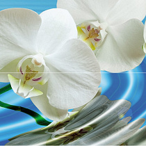 Water Garden А Панно (из 2пл) 60х50