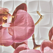 Dec. Orchid C Blanco BLN Декор 31,6x59,34