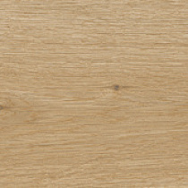 Club керамогранит светло-коричневый SG517420R 19,6х119,1