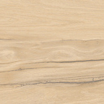 Selva PRO керамогранит бежевый SG517620R 19,6х119,1 R10 STR